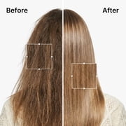 Karseell Argan Oil Moisturizing Shampoo for Dry Hair, Deep Repair Smooth Formula, 16.9 fl oz