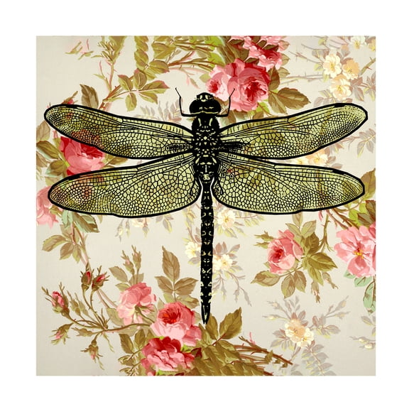 Canvas Wall Art - Dean Russo- Exclusive 'Dragonfly Wallpaper Square' Wall Art for Living Room, Bedroom, or Office Décor by Trademark Fine Art - 14 x 14 Inches