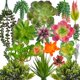 thumbnail image 1 of Paquete de 18 suculentas artificiales Suculentas falsas con textura realista Planta de cactus artificial sin maceta Adecuada para el jardín Oficina en el hogar Ecologización y decoración, 1 of 5