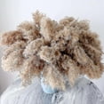 thumbnail image 2 of 30 Stems Dried Pampas Grass, Pampas Grass Fluffy Pampas ,17 Inch Bulk Pampas Grass Decor Flowers Dr, 2 of 5