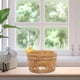 thumbnail image 4 of s suculentas con drenaje s de animales preciosos s de plantas Jardinera de jardín Habitación interior Adornos de escritorio Decoración Pequeño CUTICAT macetas suculentas, 4 of 8