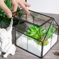 thumbnail image 4 of Ferrisland Glass Plant Terrarium Container Wardian Case Indoor Small Succulent Terrarium Planter w/Door for Tabletop Decor DIY - 4.9"x4.3"x4.3", 4 of 5