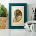 thumbnail image 6 of Sealife Collection V - Framed Print w/glass - Ocean Blue, 6 of 8