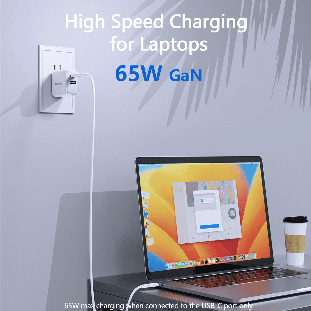 USB C Charger 65W, RICOMM GaN PPS Fast Charger Adapter Kit (Soft Silicone Cable Included) Travel Wall Charger Foldable Plug for MacBook, iPhone Pro Max, iPad, AirPods, Samsung Galaxy S22/S20/S10