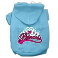 thumbnail image 1 of I'm A Princess Screen Print Pet Hoodies Baby Blue Size Xl (16), 1 of 1