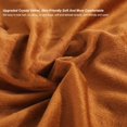 thumbnail image 4 of Electric Blanket Queen Size, USB Heated Blanket Machine Washable, Super Cozy Soft Electric Heated Shawl, 3 Heating Levels Auto Shutoff (Color : Brown, Size : 75 * 120cm), 4 of 7