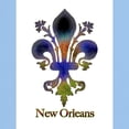 thumbnail image 3 of CafePress - New Orleans Colorful Fleur Ash Grey T Shirt - Light T-Shirt - CP, 3 of 4