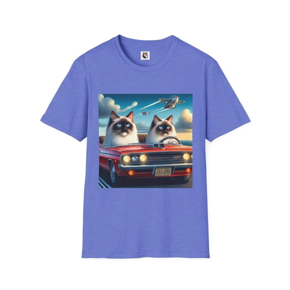 Wacky Birman Domestic Cat