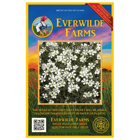 Everwilde Farms - 2000 Snow in Summer Garden Flower Seeds - Gold Vault Jumbo Bulk Seed