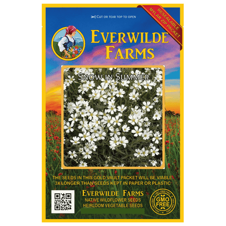 - Everwilde Farms - 2000 Snow in Summer Garden Flower Seeds - Gold Vault Jumbo Bulk Seed Packet