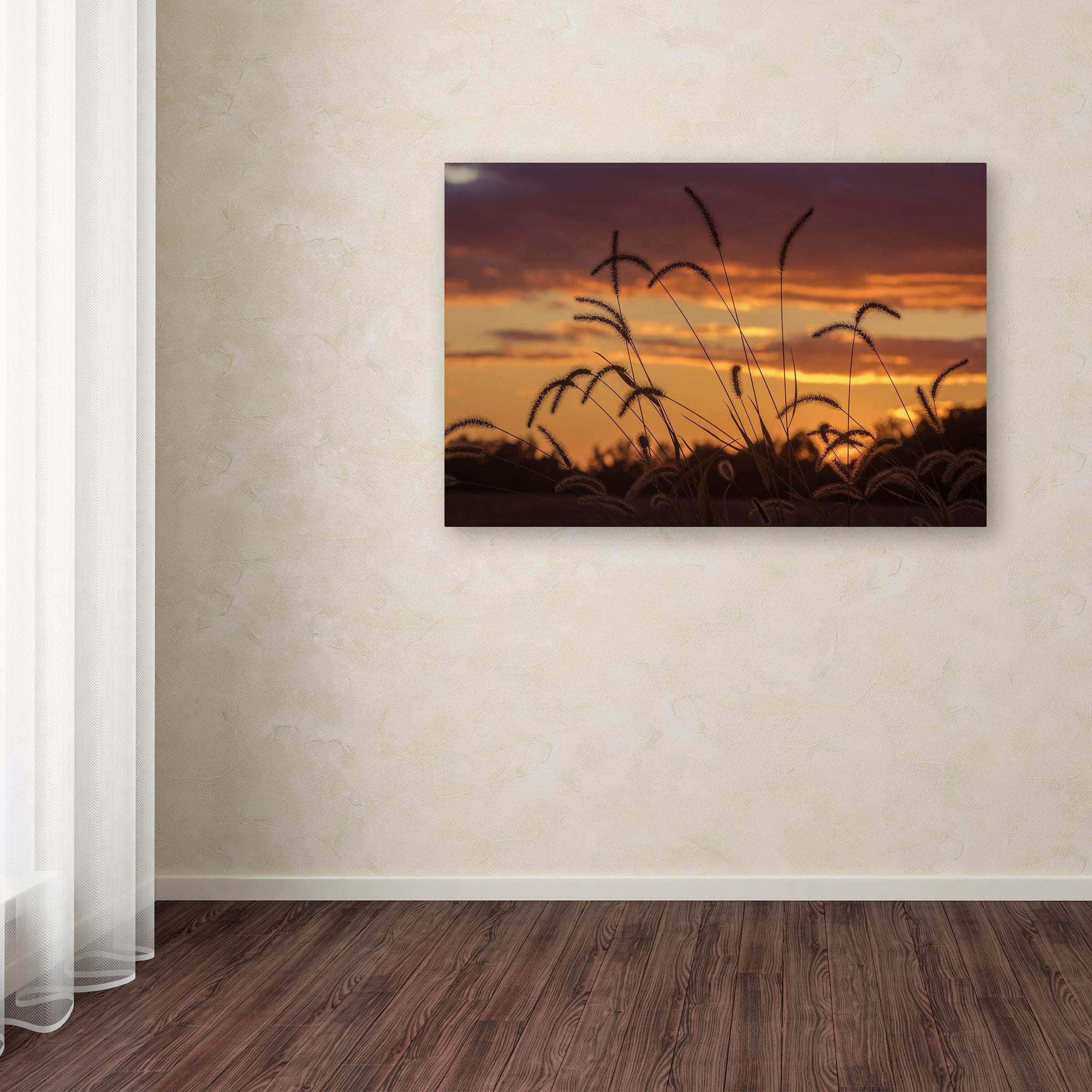 Trademark Fine Art "Weeds" Canvas Art by Jason Shaffer