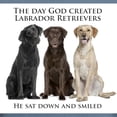 thumbnail image 3 of CafePress - Creation Of Labs T Shirt - Mens Comfort Colors Shirt, 3 of 5