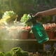 thumbnail image 3 of 1pc 2l Pulverizador de jardinería doméstico Pulsador de limpieza Hervidor de jardinería (verde), 3 of 6