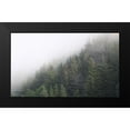 thumbnail image 2 of Brooks, Kari 18x12 Black Modern Framed Museum Art Print Titled - Alaska Green Trees II, 2 of 5