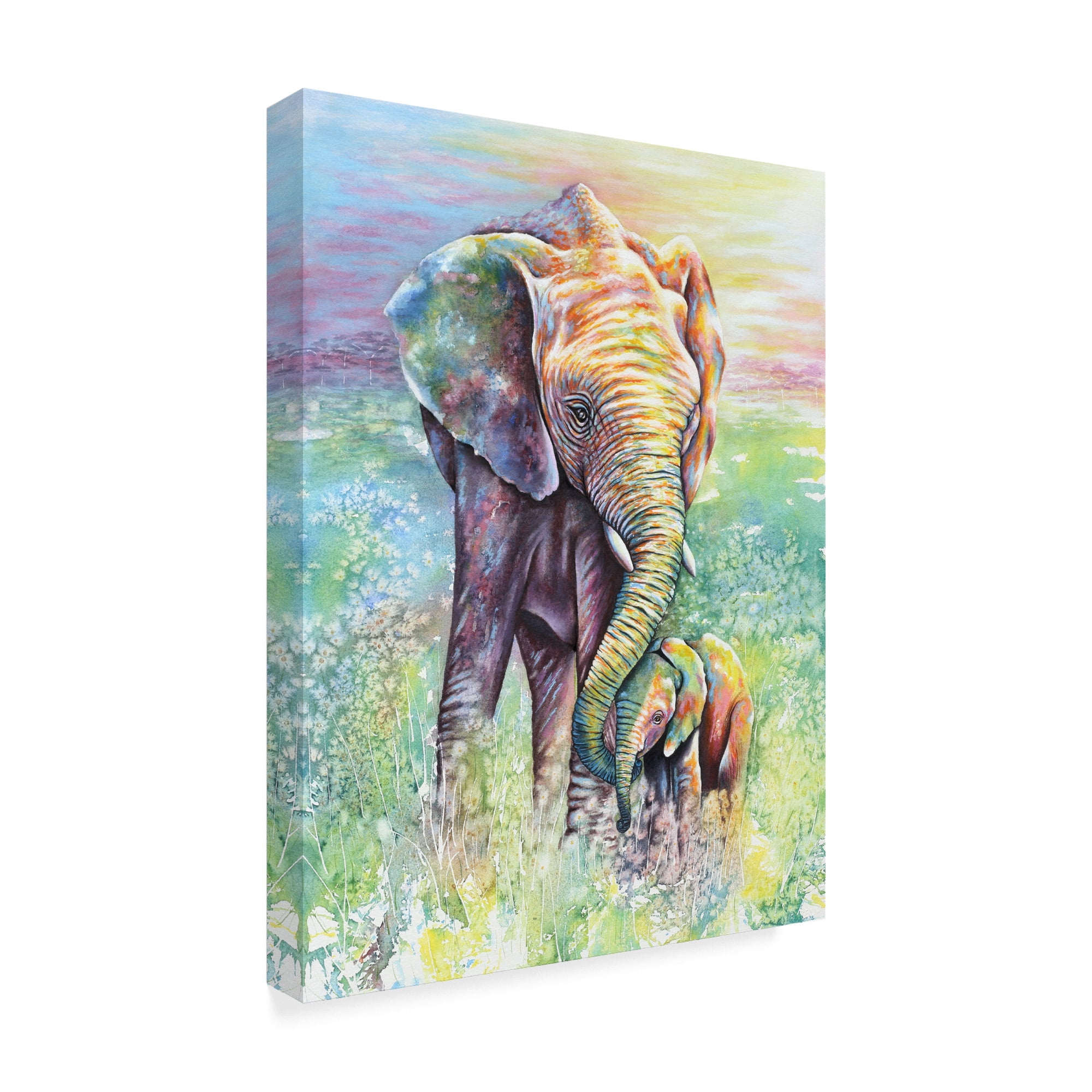 Trademark Fine Art 'Mother & Baby Elephant Rainbow Colors' Canvas Art by Michelle Faber