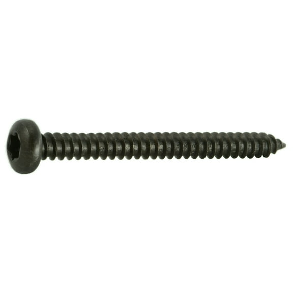 #10 x 2" Black Steel Star Drive Pan Head Sheet Metal Screws (10 pcs.)