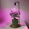 thumbnail image 2 of Full Spectrum Led Plant Grow Lights Table Desk Lamp 30W E27 for Home Indoor Plants Growing, 2 of 6