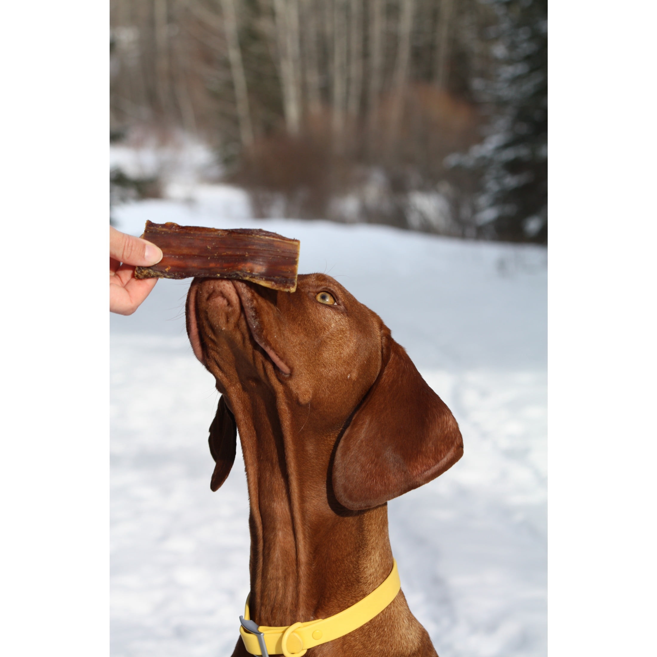 (2 pack) Cadet 100% Real Beef Strips Dog Treats, Single Ingredient Dog Jerky Treats for Small & Large Dogs, 4 Ounce
