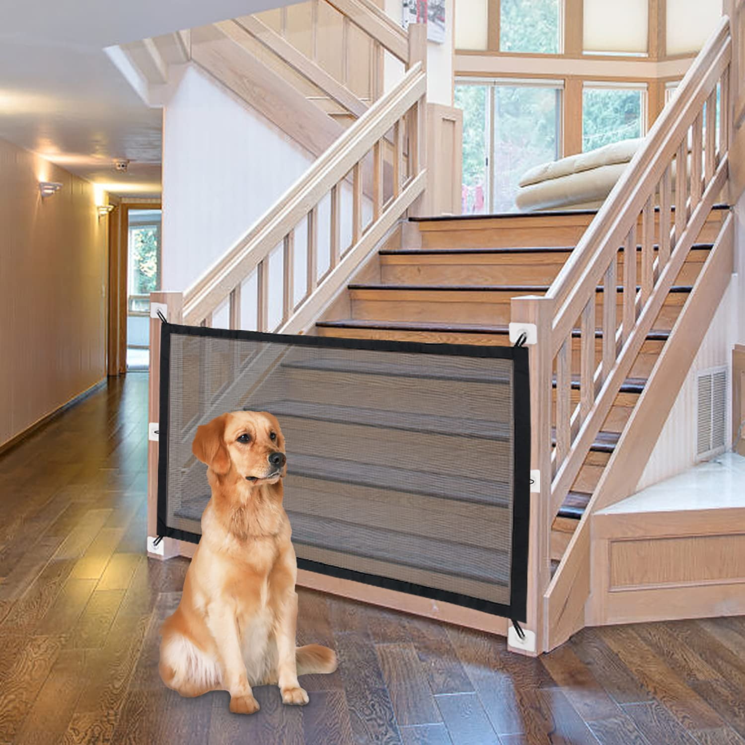 Temporary Wall With Door Scandinavian Pet Design Pet Flex System