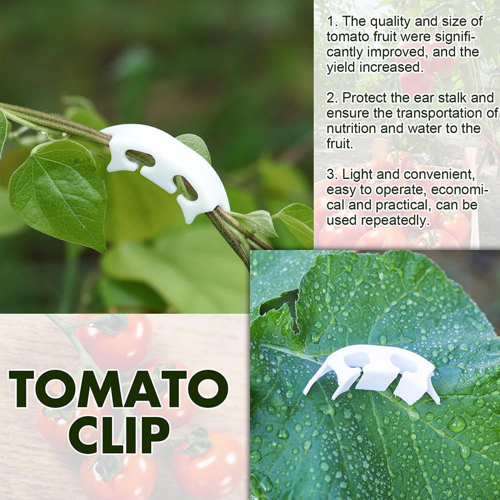 Tomato Stem Support Clips Plant Garden Fixing Clips K6C8 Vegetables X9M3 x1 A4K6 