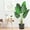 Birds of Paradise Plant (1PCS), variant on 1/2PCS Artificial Plant Tree, 4/5/6 Feet Tall Faux Bird of Paradise Plant with Black Pot Green Tropical Artificial Plants for Indoor Home Living Room and Offices Decorations