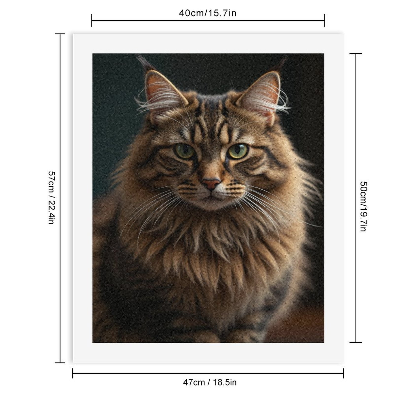 Paint by Numbers Kit for Adults, Maine Coon Elegant Portrait Feline Paint by Numbers, Easy Paint by Numbers Kit for Adults Beginner, DIY Adult Paint by Number Kits on Canvas, 12x16in Home Decor