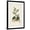 Black Frame, variant on Art.com Antique Turpin Botanical III Art Print by 0 Turpin, 12" x 18"