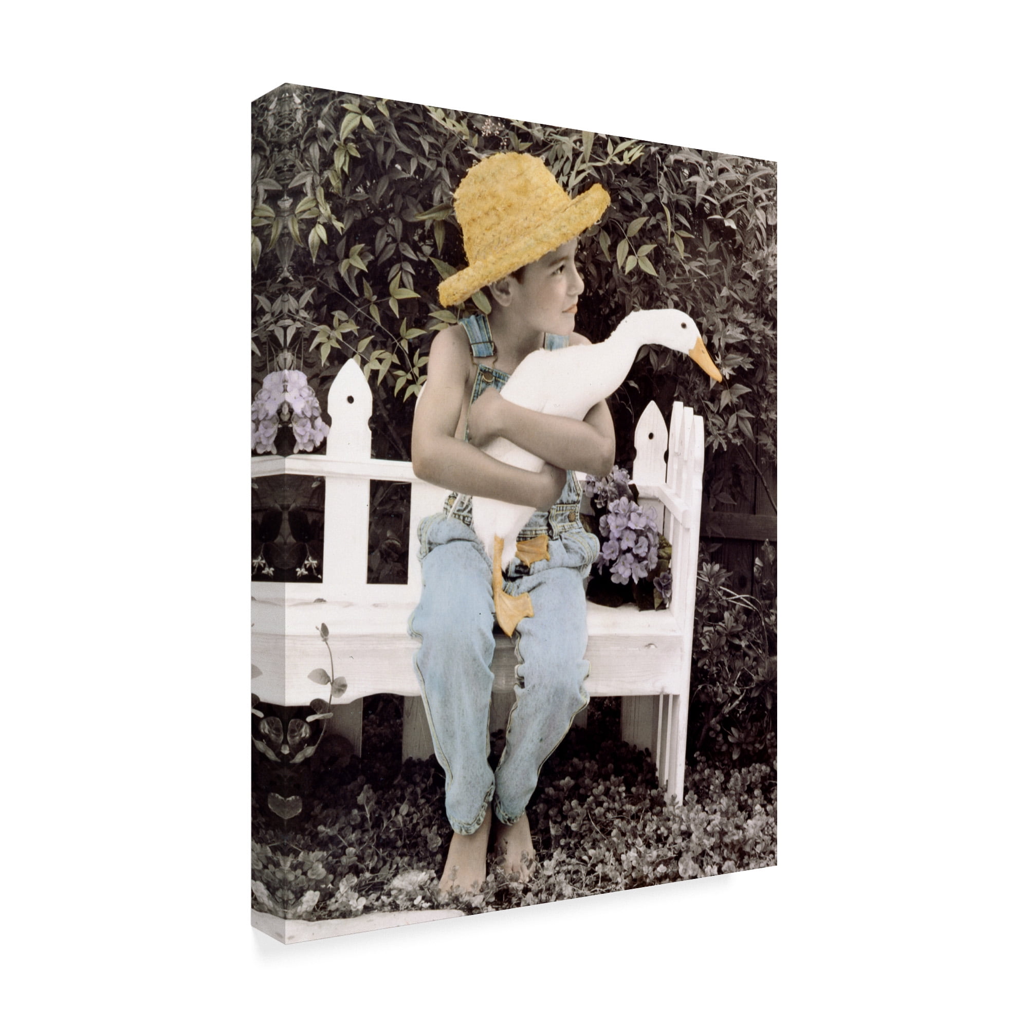 Trademark Fine Art 'Just Ducky' Canvas Art by Sharon Forbes