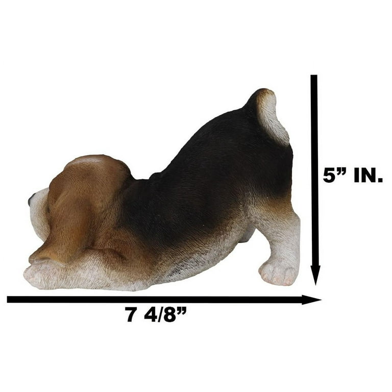 Vendita Beagle da Privato a Napoli 3 cuccioli beagle tricolore 11/10/2024