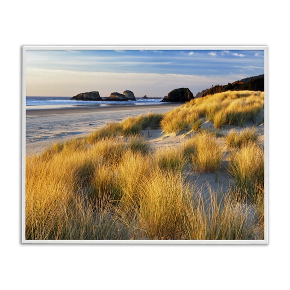 Stupell Industries Coastal Beach Grasses Summer Shoreline White Framed Giclee Art, 20 x 16, by Dennis Frates