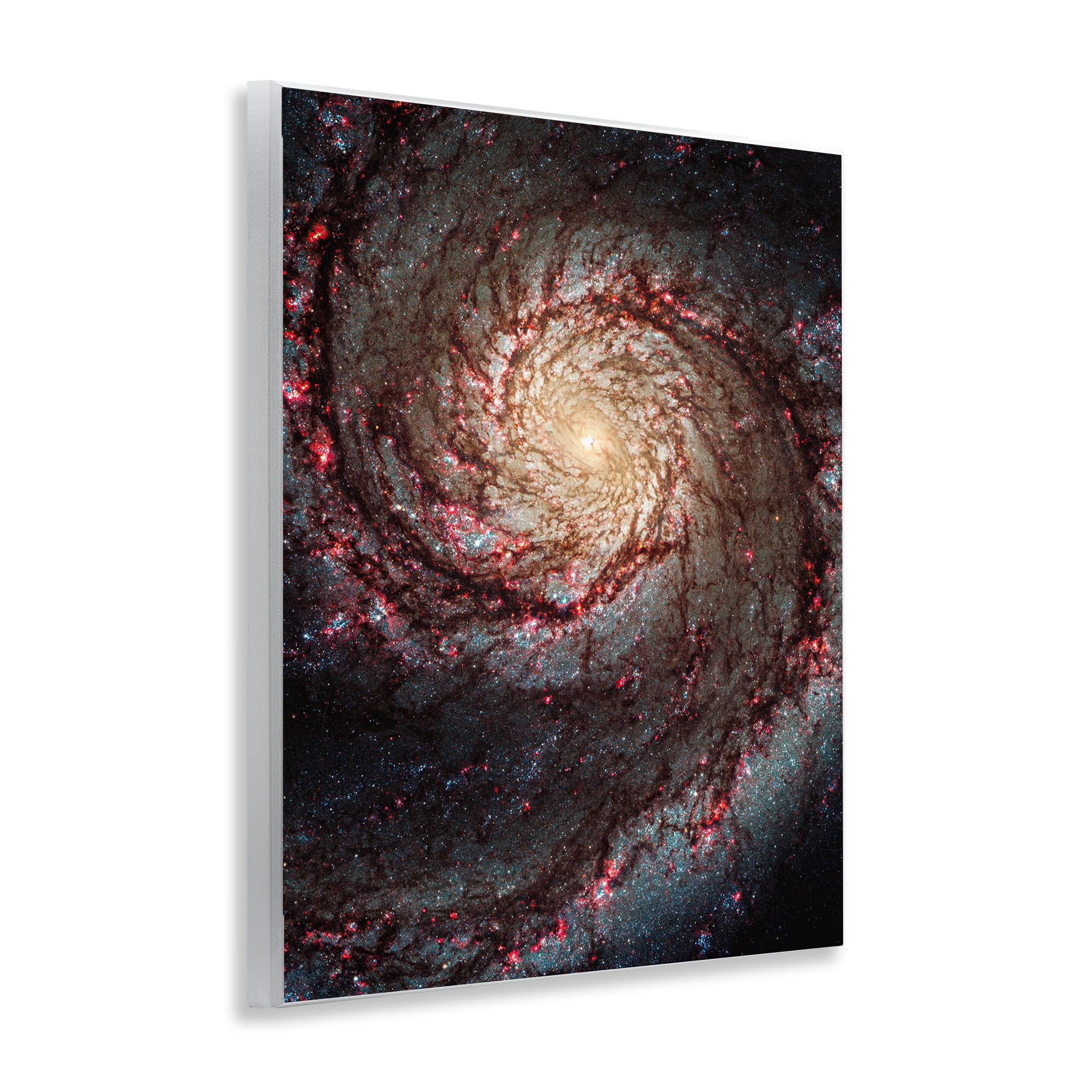 Stupell Industries Great Beyond Nebula Animals & Insects Photography Unframed Art Print Wall Art, 11 x 14