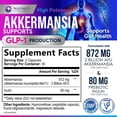 thumbnail image 2 of Akkermansia Gut Health Supplement - Premium Akkermansia Probiotic With Prebiotic Fiber - Akkermansia Muciniphila 2 Billion AFU Per Serving - GLP-1 Support for Women & Men, Bottled USA - 60 Capsules, 2 of 9