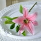 thumbnail image 4 of Flores Artificiales de Lirio | Lirios Simulados de Plástico Realistas de Alta Gama | Resistentes al Agua y a la Degradación | Decoración para Hogar y Exhibición Comercial | Blanco, Amarillo, Rosa, 4 of 6