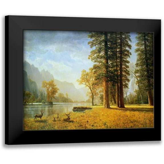 Bierstadt, Albert 14x12 Black Modern Framed Museum Art Print Titled - Hetch Hetchy Valley, California