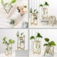 thumbnail image 2 of Iron Art Hydroponic Container Glass Vase for Storage 1Pcs Nordic Style, 2 of 2