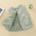 thumbnail image 2 of IVEYRTF Childrens Sleeveless Vests Warm Zipper or Button Pockets Casual Layering Piece Fall Winter Kids Outerwear Tops Unisex Toddler Youth Everyday Wear(Green#1,2-3 Years), 2 of 6