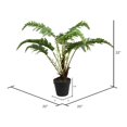 thumbnail image 2 of Vickerman FE181601 20 Po. Fern Vert en Pot Rond Noir, 2 of 2