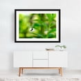 thumbnail image 2 of Spider and Prey 02 - Scranton Pennsylvania Photography Black Framed Wall Art Print 20 x 30 inches, 2 of 4