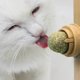 thumbnail image 4 of Crema nutritiva comestible para gatos con hierba gatera y azúcar, caramelo sólido para lamer, snack para gatos, bola dulce energética para el cuidado de la salud., 4 of 7