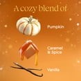 thumbnail image 3 of Glade PlugIns Air Freshener Refills Pumpkin & Ginger 100 ml, 3 of 7