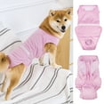 thumbnail image 3 of Pnellth Pet Recovery Clothes Breathable Adjustable Dog Surgery Recovery Suit Anti-licking Protection Pet Supply, 3 of 8