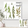 thumbnail image 4 of Designart ' Three Willow Branches On White ' Farmhouse Canvas Wall Art Print, 4 of 4