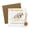 School season, variant on Religious Money Holder Envelopes Set For Religious Celebrations With Greeting Card Label and Wrapping Rope