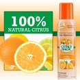 thumbnail image 4 of Citrus Magic Natural Odor Eliminating Air Freshener Spray, 100 % Natural Citrus Oils, Fresh Orange, 3- Ounce, 5 Pack, 4 of 5