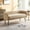 Beige, variant on Upholstered Bench for Bedroom or Entryway, with Low Backrest and Armrests