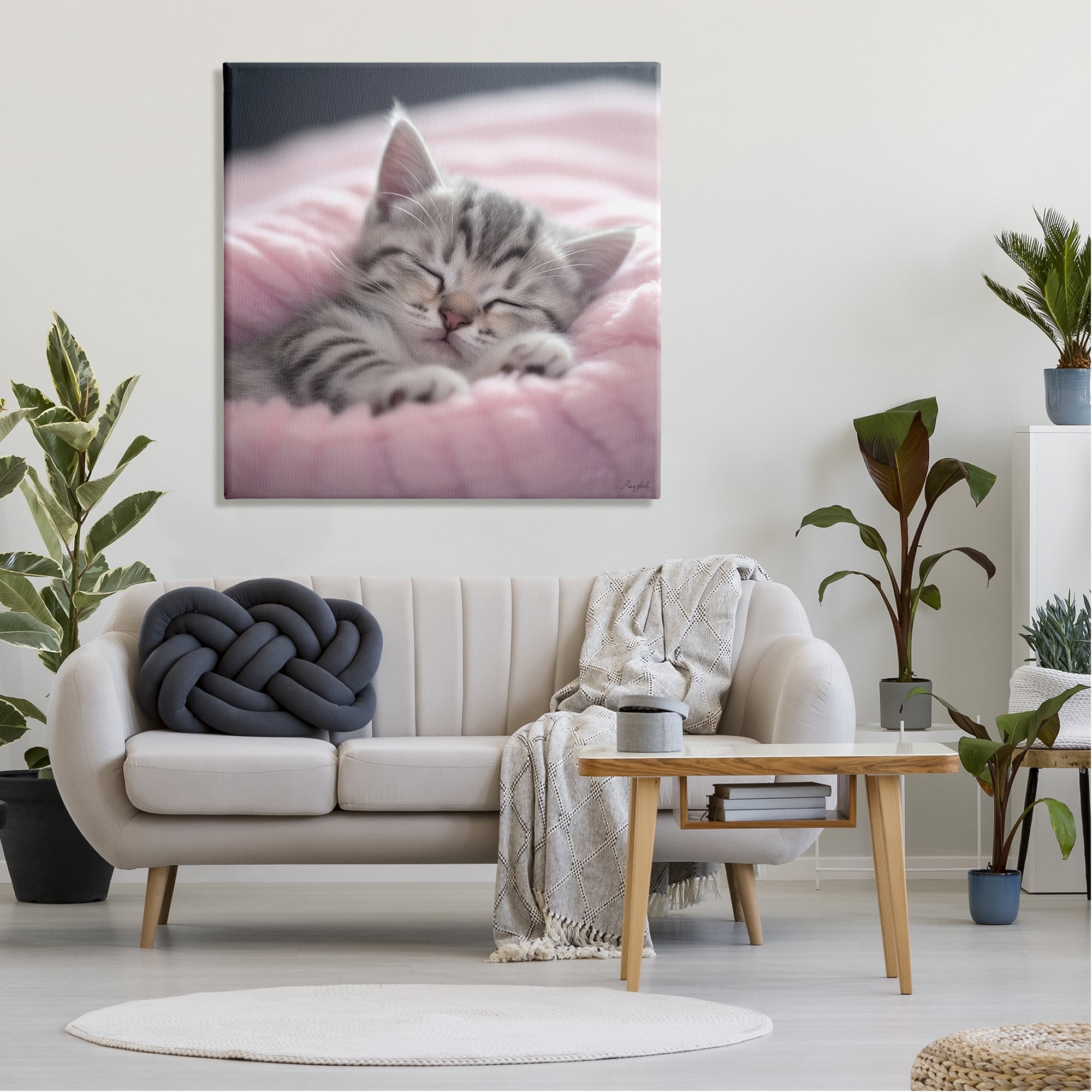 Stupell Industries Soft Kitten Tucked In Animals & Insects Painting Gallery Wrapped Canvas Art Print Wall Art, 36 x 36