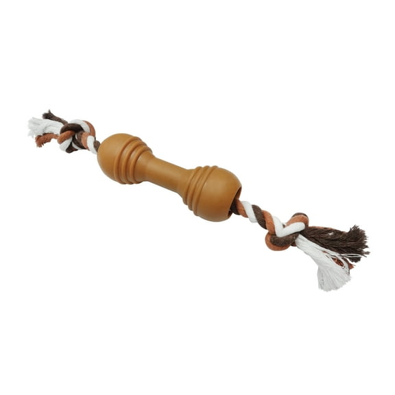 Rope & Ball Dog Toy