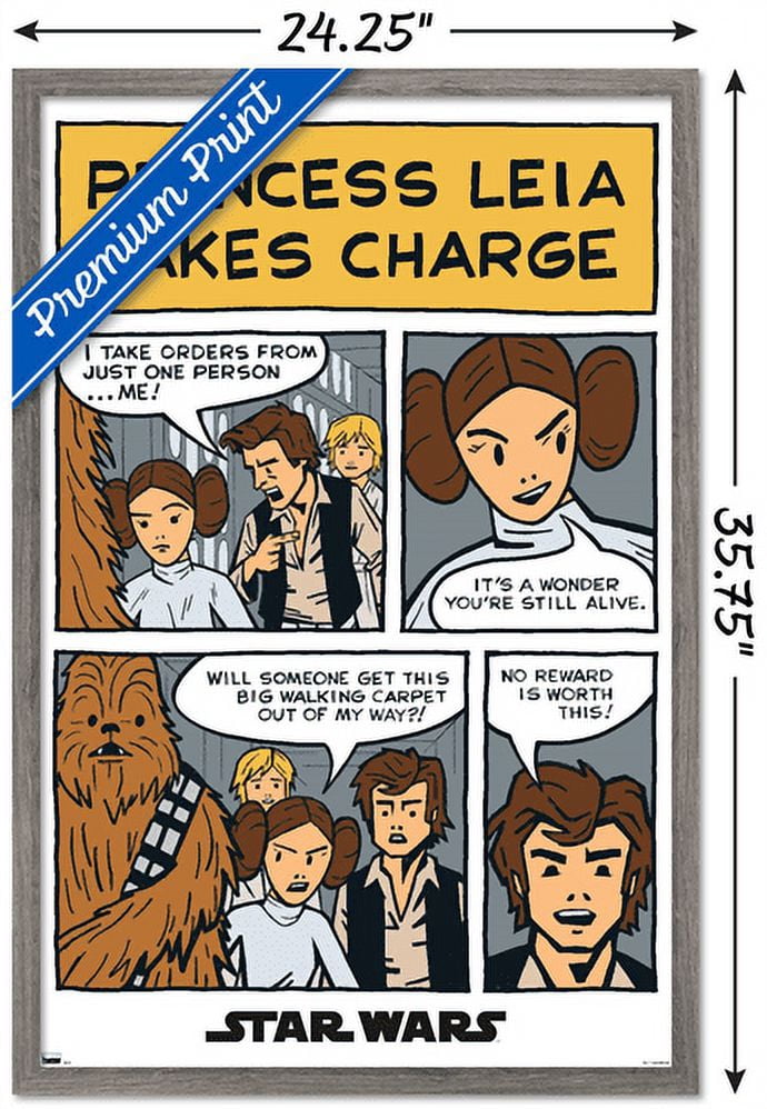 Star Wars: A New Hope - Comic Panel Wall Poster, 22.375" x 34", Framed