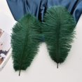 thumbnail image 4 of Plumas de Avestruz Ballinger Negro Verdoso 30-35 cm 24 piezas, 4 of 6