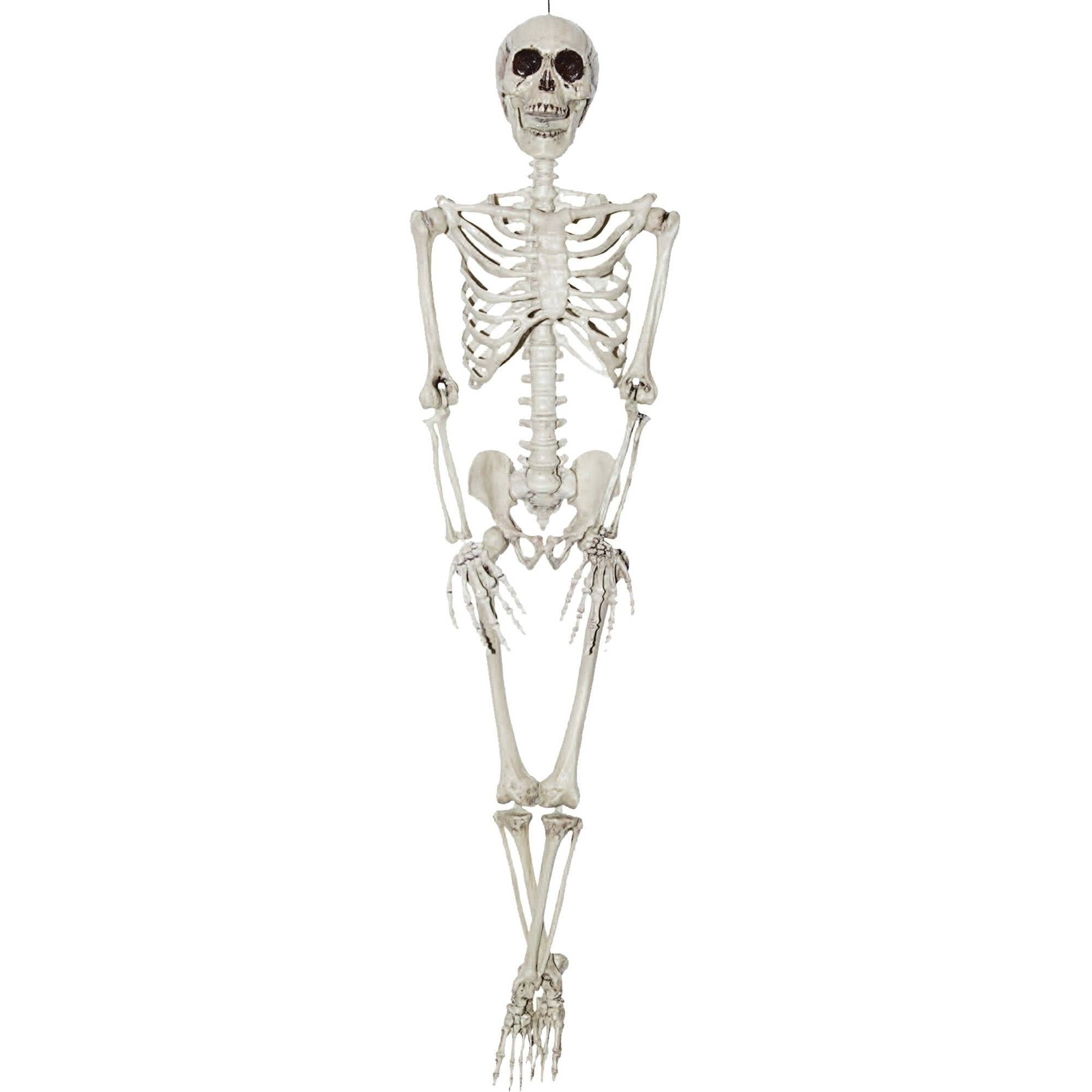 36" Skeleton Halloween Decoration